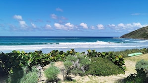 A coastal landscape with a clear sky, ocean waves, and a grassy area with vegetation.