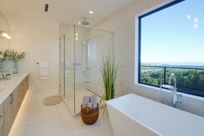 Hair dryer, towels, toilet paper