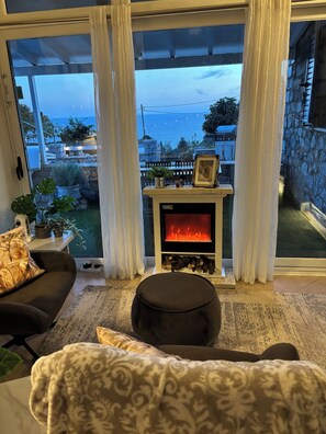 Smart TV, fireplace, books