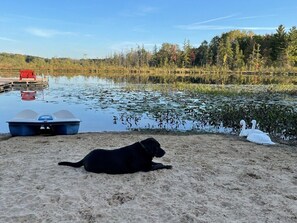 Accommodatie ligt op het strand