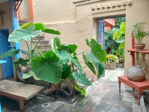 Terrace/patio - Hotel Candelaria House  (Bogotá)