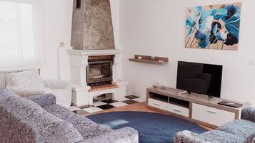 TV connectée, cheminée, livres, médiathÚque