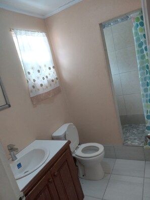 Ducha, toallas, jabón, papel higiénico