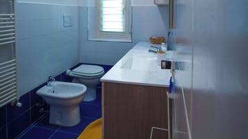 Shower, hair dryer, bidet, towels