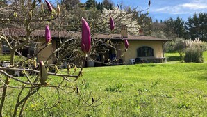 Ein Haus mit einem Ziegeldach, einem Rasen und einem Baum mit rosa Blüten.