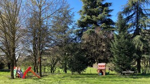 Ein Park mit einem Spielplatz, einer kleinen roten Konstruktion und hohen Bäumen.