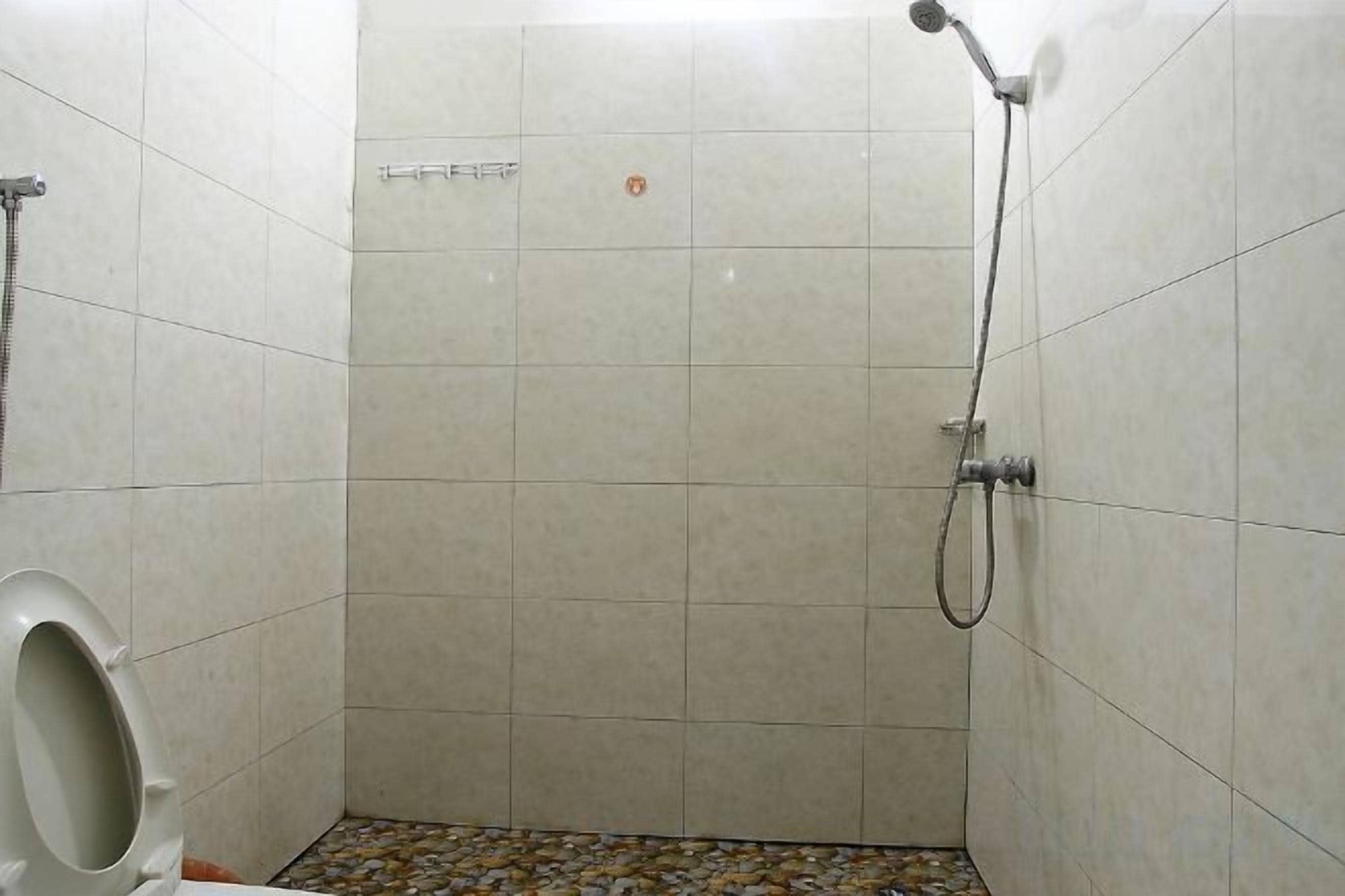 A small, tiled shower stall with a handheld showerhead and a toilet.