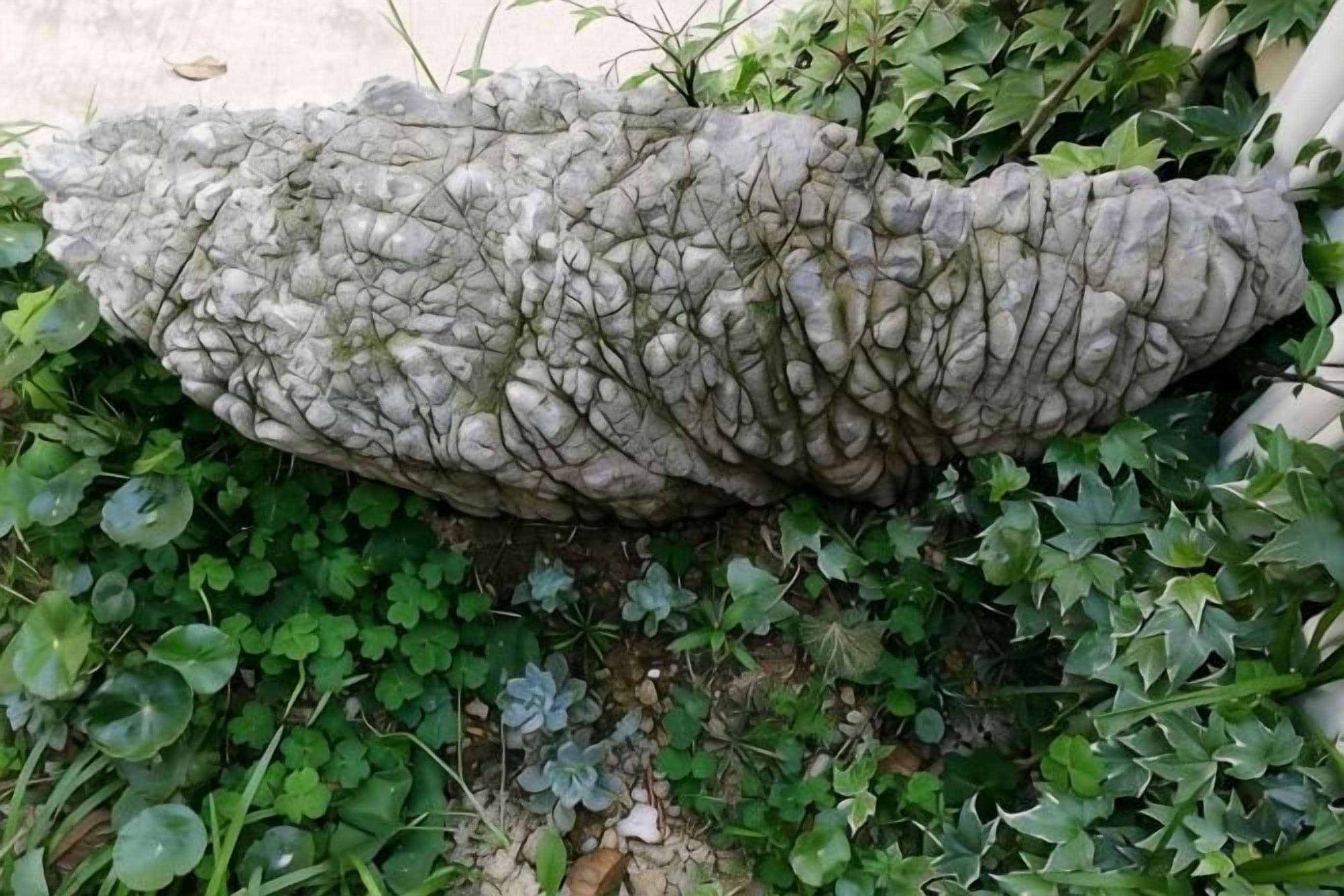 A stone structure with a textured surface, surrounded by green foliage.