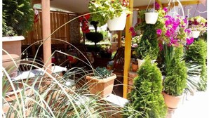 A variety of potted plants and flowers displayed in a garden center.