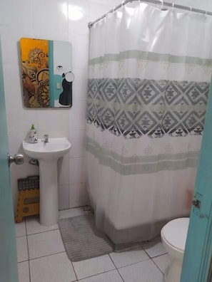 Hair dryer, soap, shampoo, toilet paper
