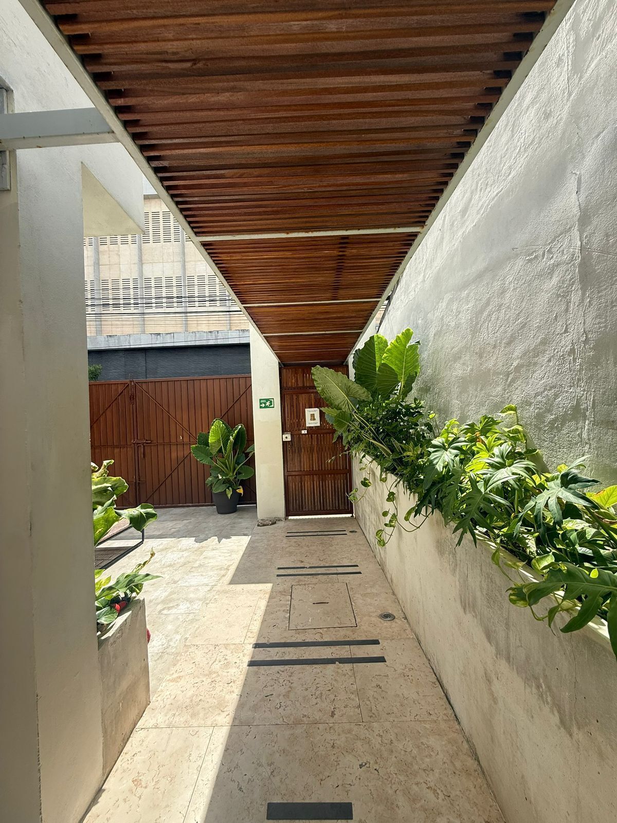 A narrow corridor with a wooden ceiling, concrete floor, and walls adorned with green plants.