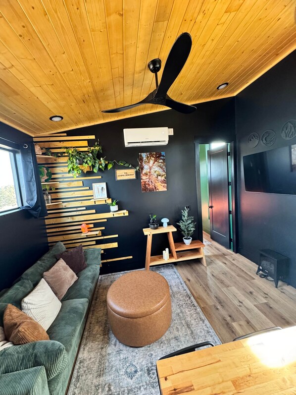 Smart TV, books, stereo