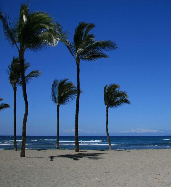 Sun loungers, beach towels