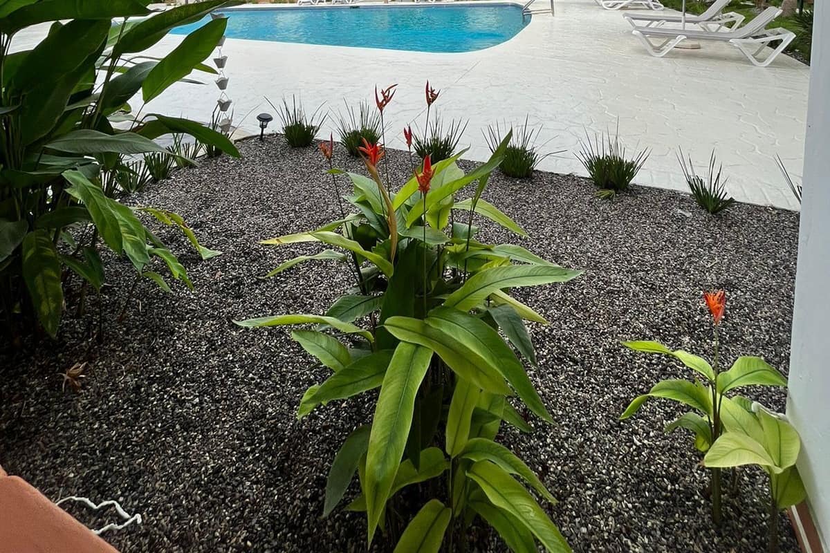 Un espace piscine d’hôtel offrant une vue dégagée sur la piscine, les chaises longues et un bâtiment doté de balcons.