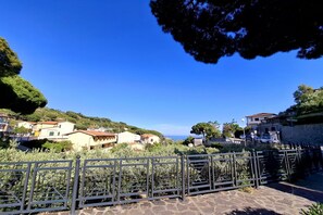 Imagen sin descripción, 3 de 25, botón