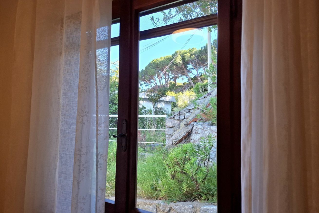 A window with a view of a stone wall and greenery outside.