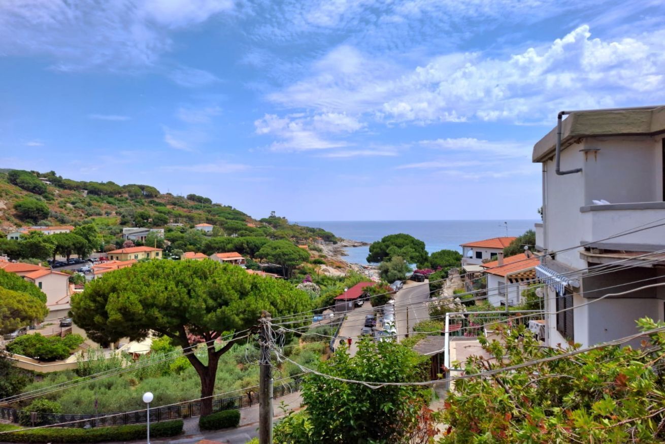A coastal town with terraced houses, a prominent tree, and a view of the sea.