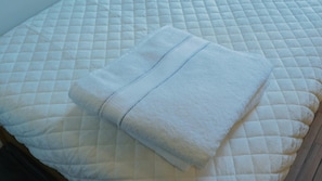 Economy Twin Room, Garden View (Shared Bathrooms) | Escritorio y wifi gratis