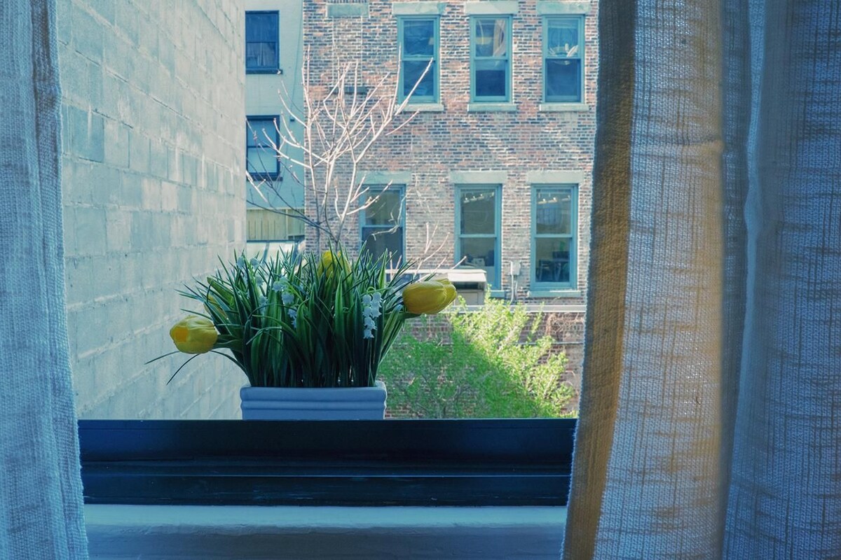 A window with a potted plant and yellow tulips.