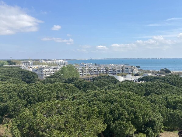 Un complejo turístico costero con edificios modernos, abundante vegetación y una vista despejada al mar.