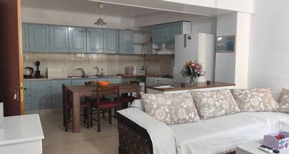 Ευρύχωρο και άνετο διαμέρισμα στην Ιτέα Joanna's Apartment