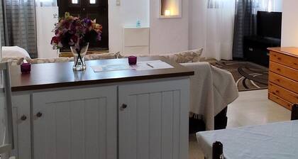 Ευρύχωρο και άνετο διαμέρισμα στην Ιτέα Joanna's Apartment
