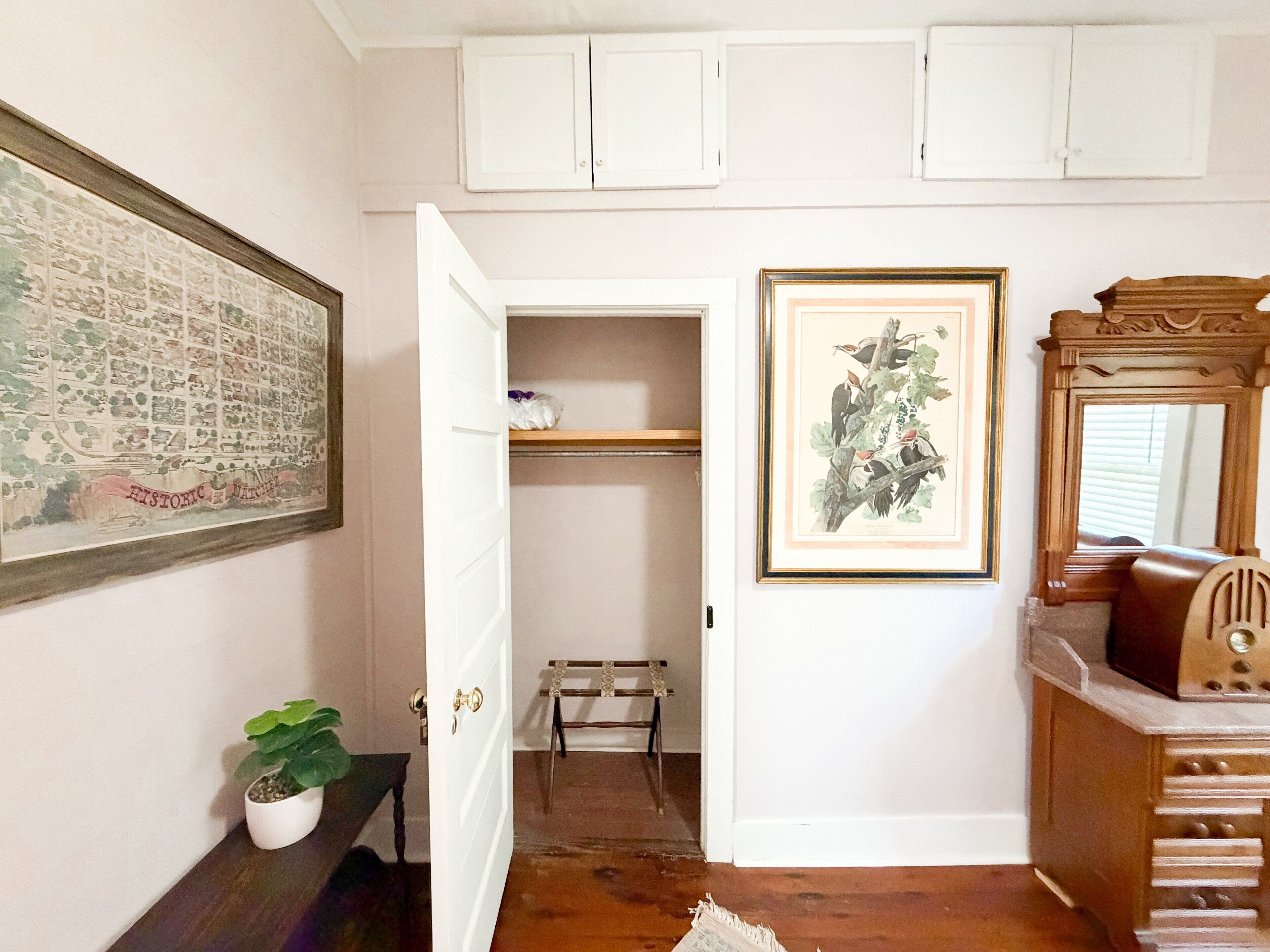 A hallway with a door leading to a closet, a framed botanical print, a small potted plant, and a mirror on a dresser.