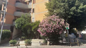 Un edificio de varios pisos con fachada de ladrillo, balcones y un gran árbol con flores rosadas.