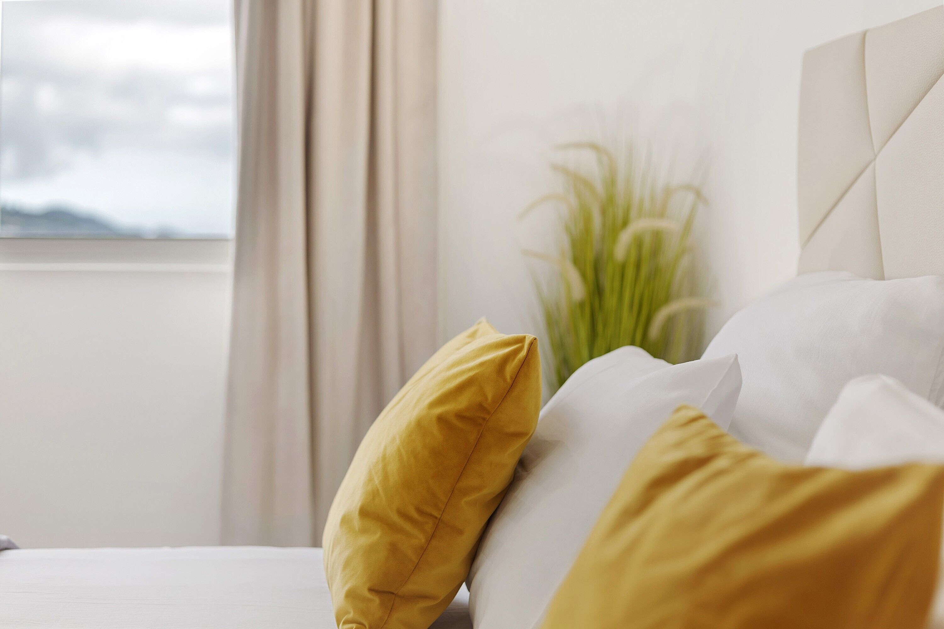 A bed with white and yellow pillows, a window with curtains, and a plant in the background.