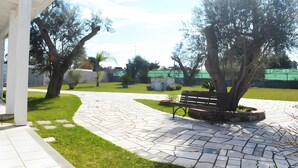 A paved walkway, a bench, and trees in a park setting.