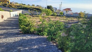 A cobblestone pathway leading to a residential area with houses, greenery, and a clear sky. - Country House 'Serrão' with Private Terrace, Private Garden and Wi-Fi (Calheta)