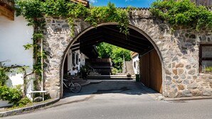 An arched stone entrance to a building with steps leading up to a wooden door.