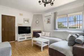 TV, fireplace