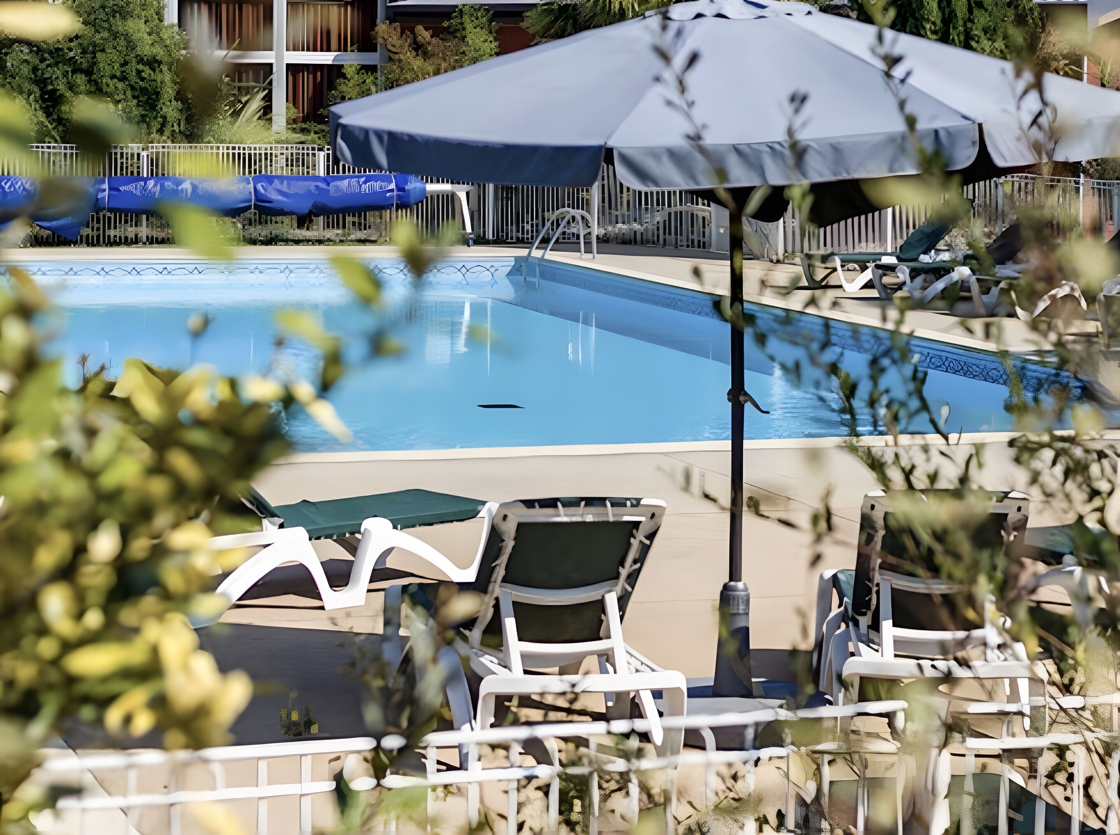 Une piscine entourée d’une clôture et de verdure, avec des chaises longues et des parasols.