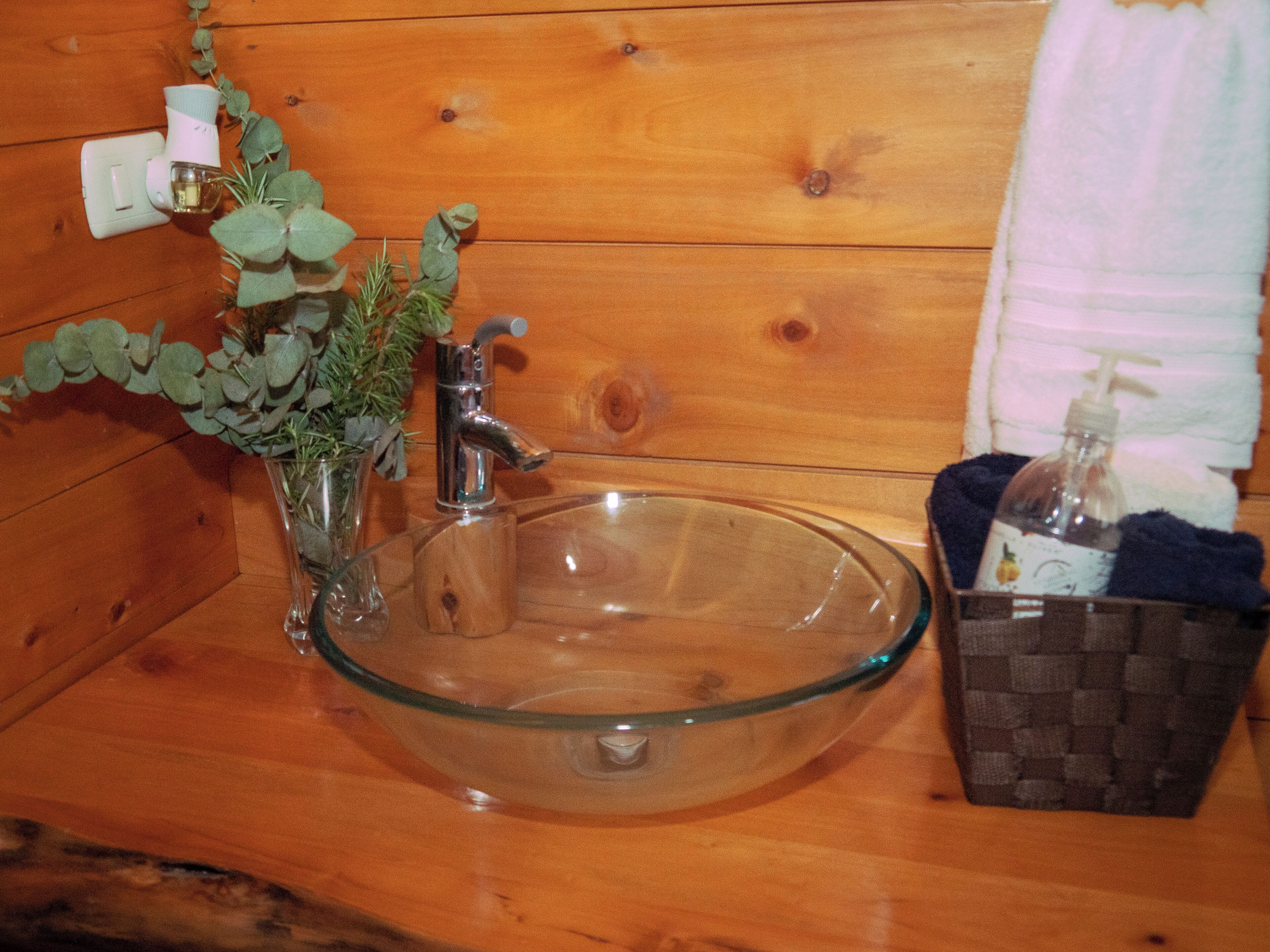 A wooden bathroom with a glass bowl sink, a faucet, and a small plant.