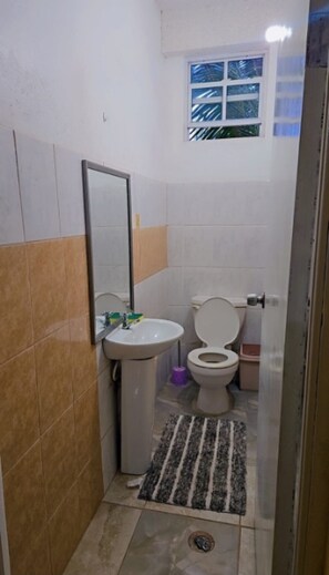 Shower, towels, soap, toilet paper