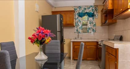 Spacious 3-bedroom apartment with WiFi, AC in delightful Roseau