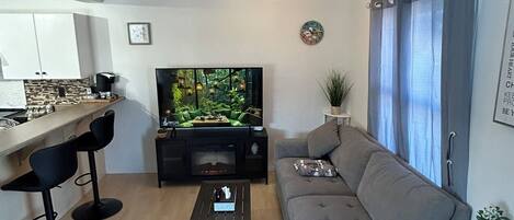 Älytelevisio, tietokoneen näyttö, tulostin