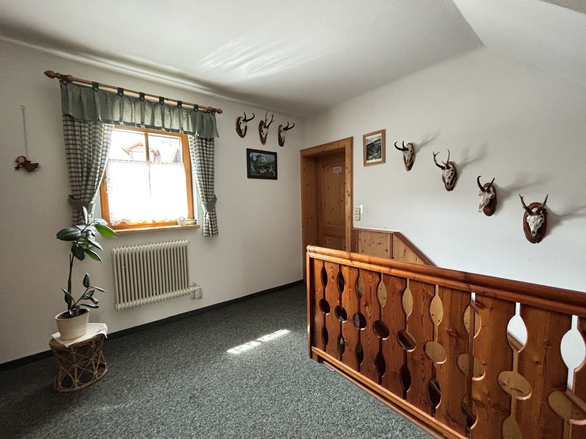A hallway with a staircase, a radiator, a potted plant, and wall-mounted animal skulls.