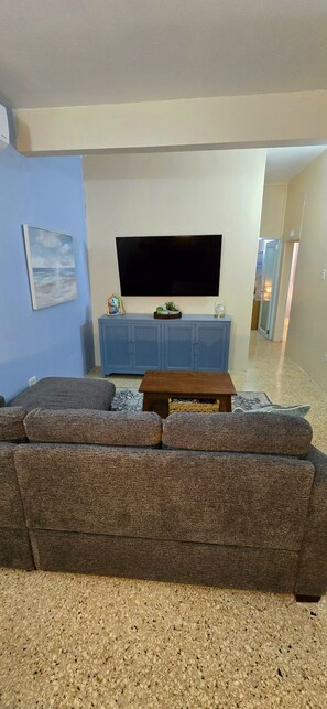 Smart TV, computer monitors