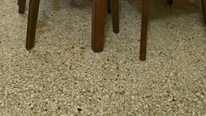 Un coin repas avec une table et des chaises en bois, une plante en pot et un mur orné d’un motif ondulé.