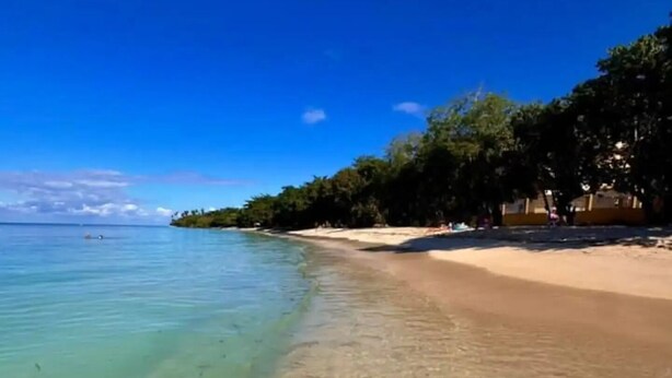 Une plage avec une eau claire, un rivage sablonneux et des arbres.