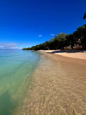 A beach with clear water, sandy shore, and trees.