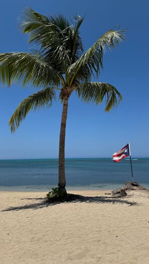 Sun-loungers, beach towels
