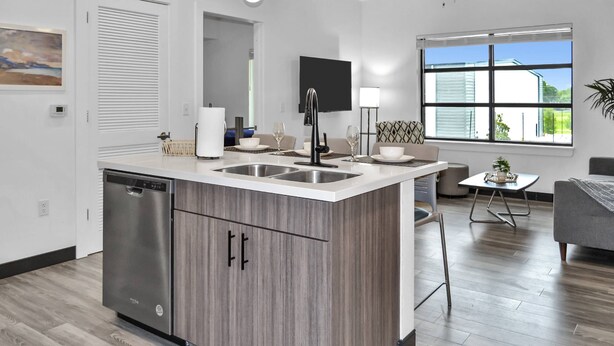 A modern kitchen with a dishwasher, double sink, and a dining area with a table and chairs.