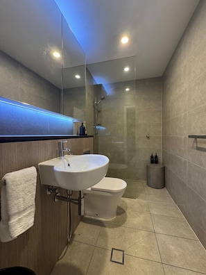 Shower, hair dryer, towels, soap
