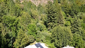 Un paisaje montañoso con un bosque denso.