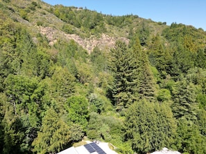 Un paisaje montañoso con un bosque denso.