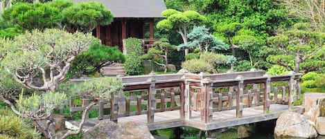 Overnattingsstedets uteområder