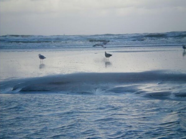 Platja a a prop 